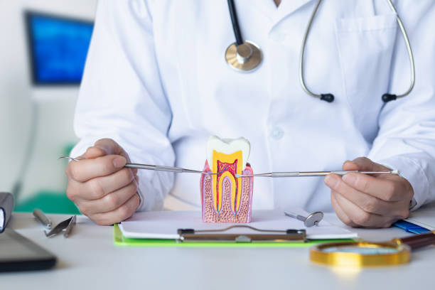 Best Emergency Broken Tooth Repair in Lakeside Park, KY